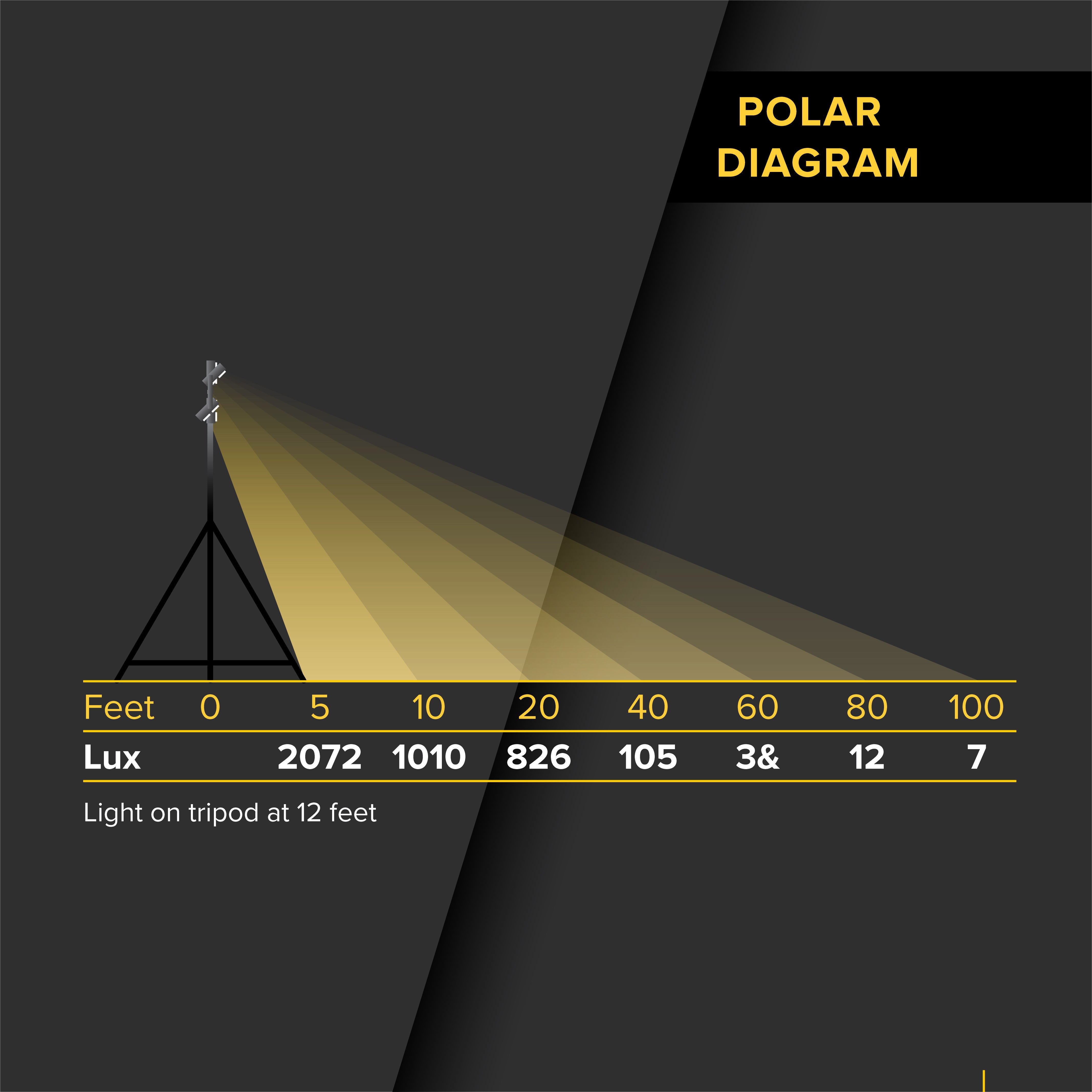 1200 Watt Flood Light Kit
