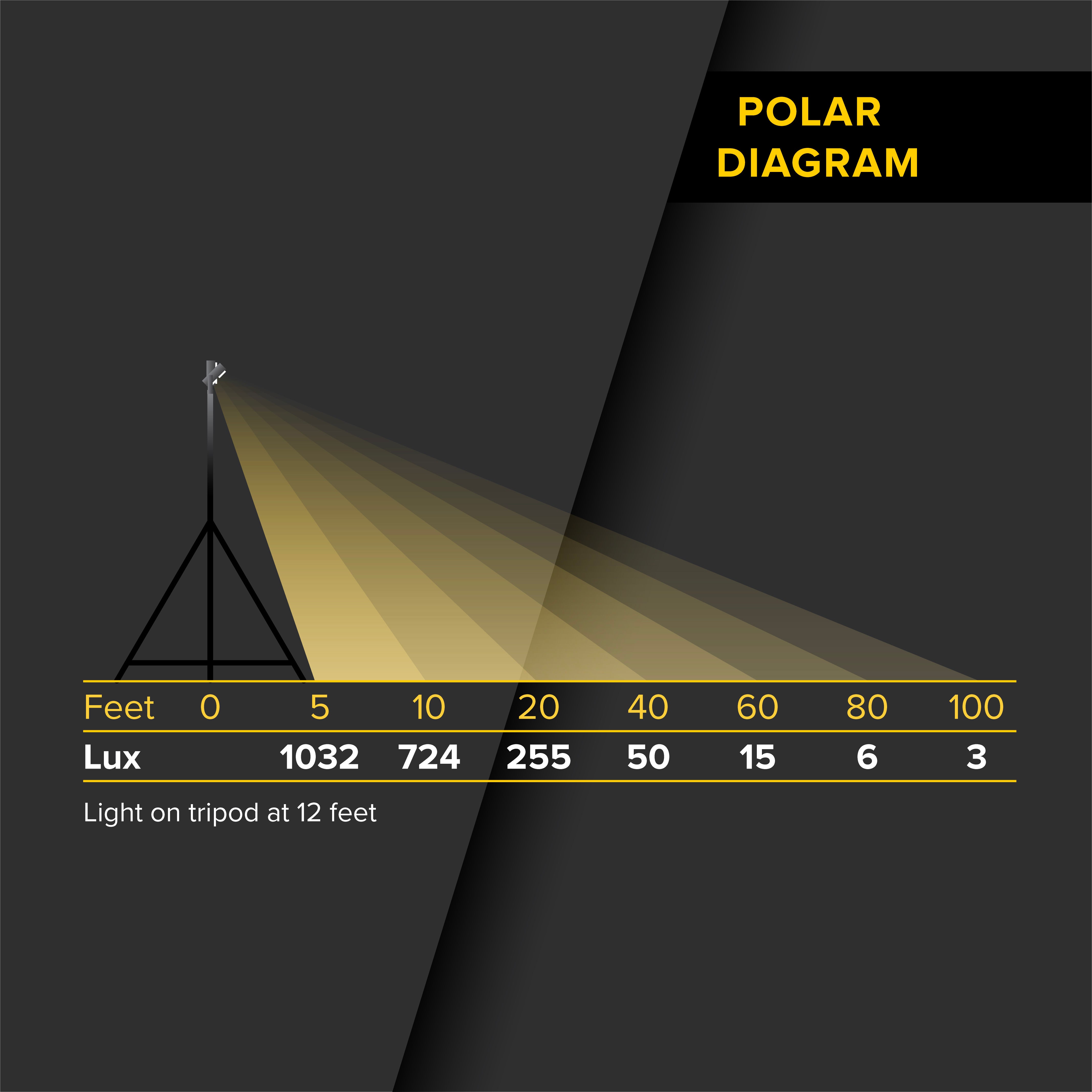 600 Watt Flood Light Kit