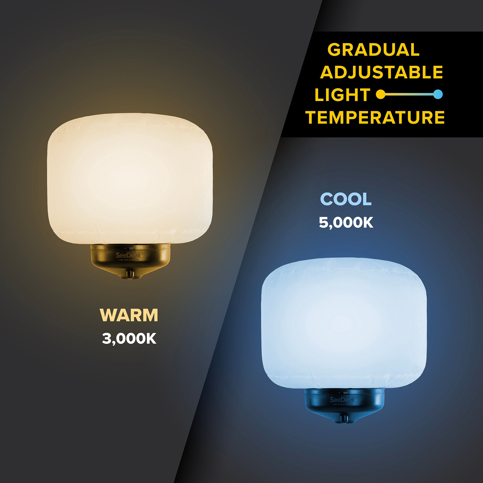 G3 60 Watt Balloon Light Fixture