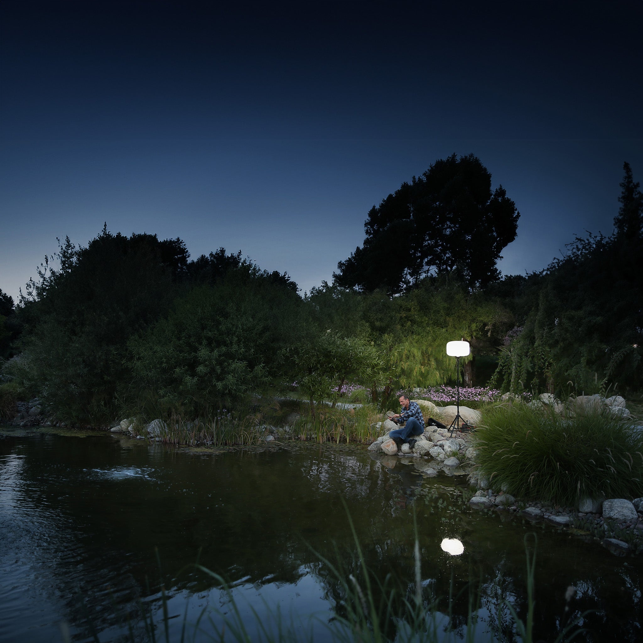 G3 60 Watt Balloon Light Fixture