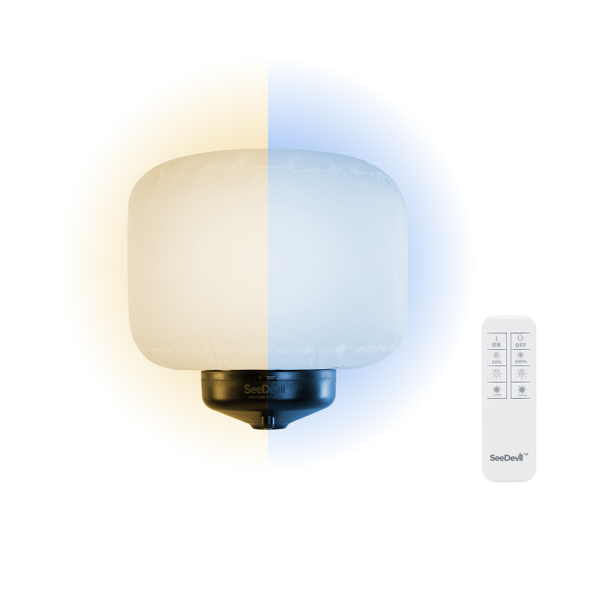 G3 60 Watt Balloon Light Fixture